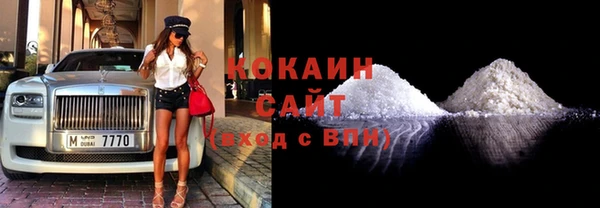 гидра Мегион