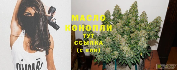 гидра Мегион